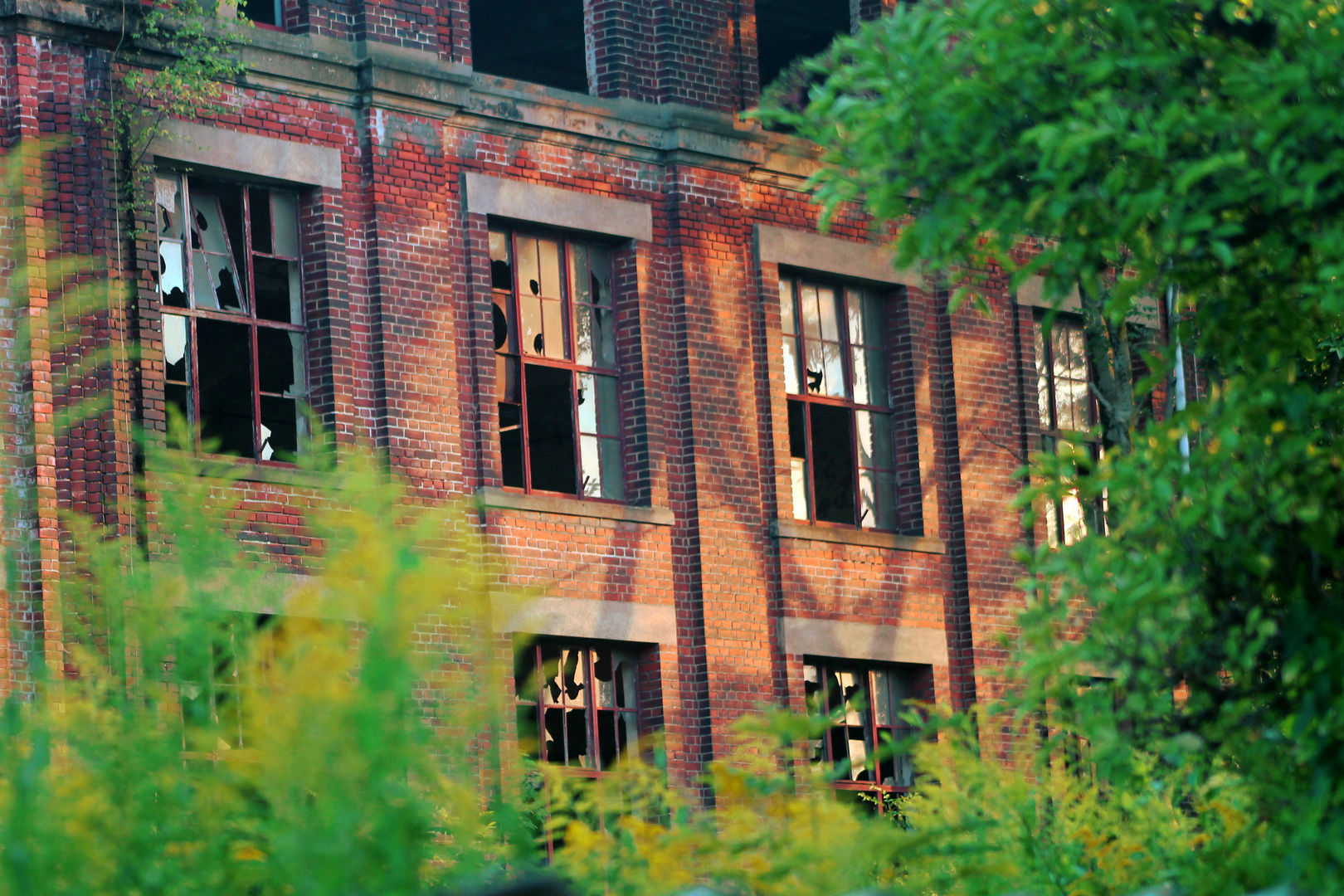 Industriegebäude mit grün