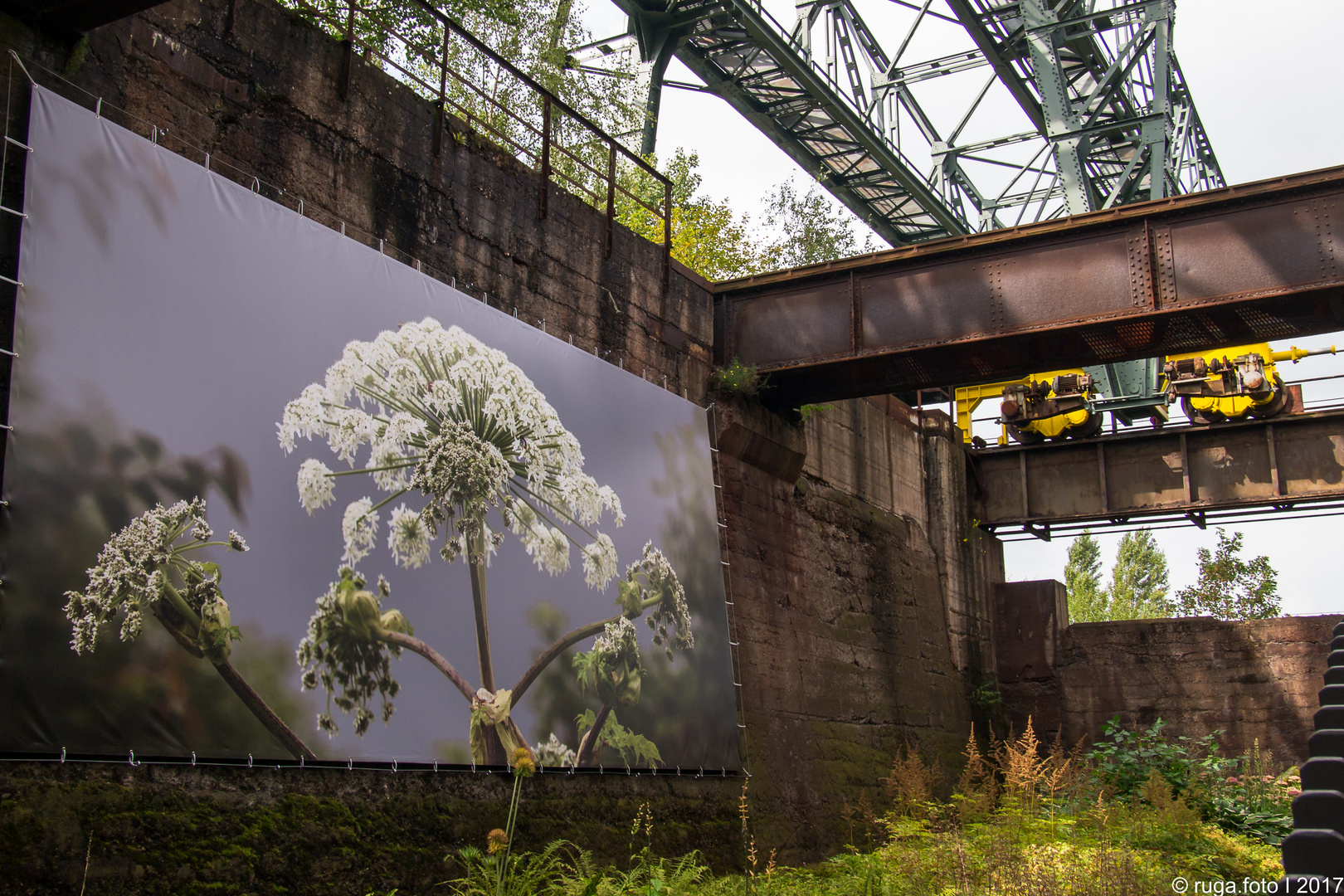 Industriekultur pur - Natur und Technik 