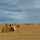 Industrielle Landwirtschaft