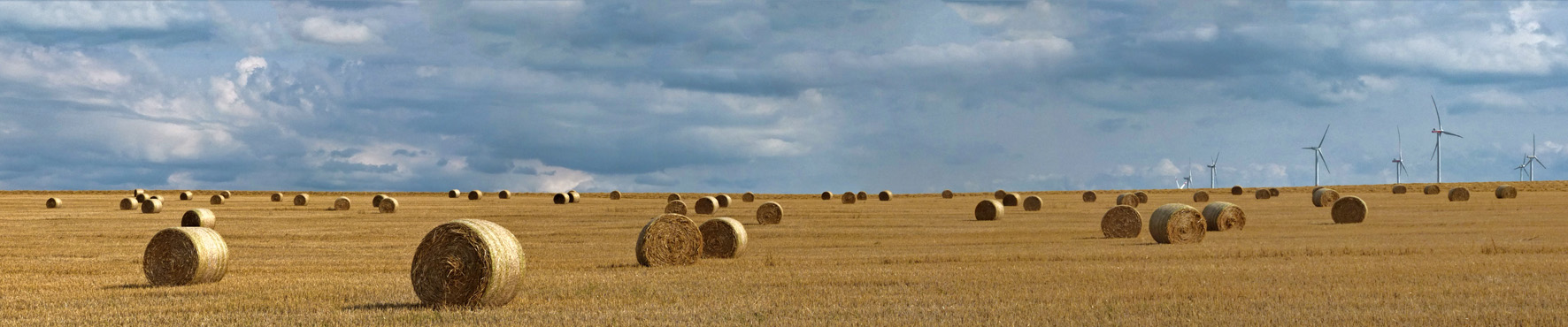 Industrielle Landwirtschaft