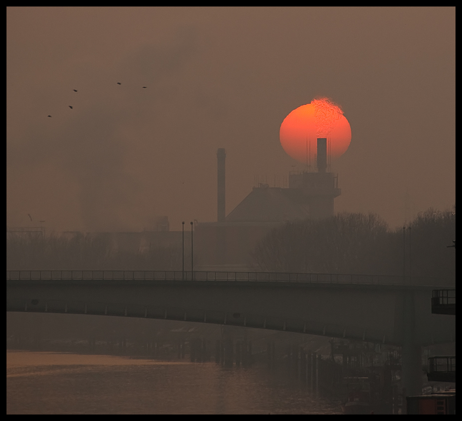 Industriepark Höchst in winterlicher Abendsonne (2)