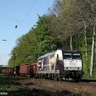 Industrieprodukte mitten im Wald