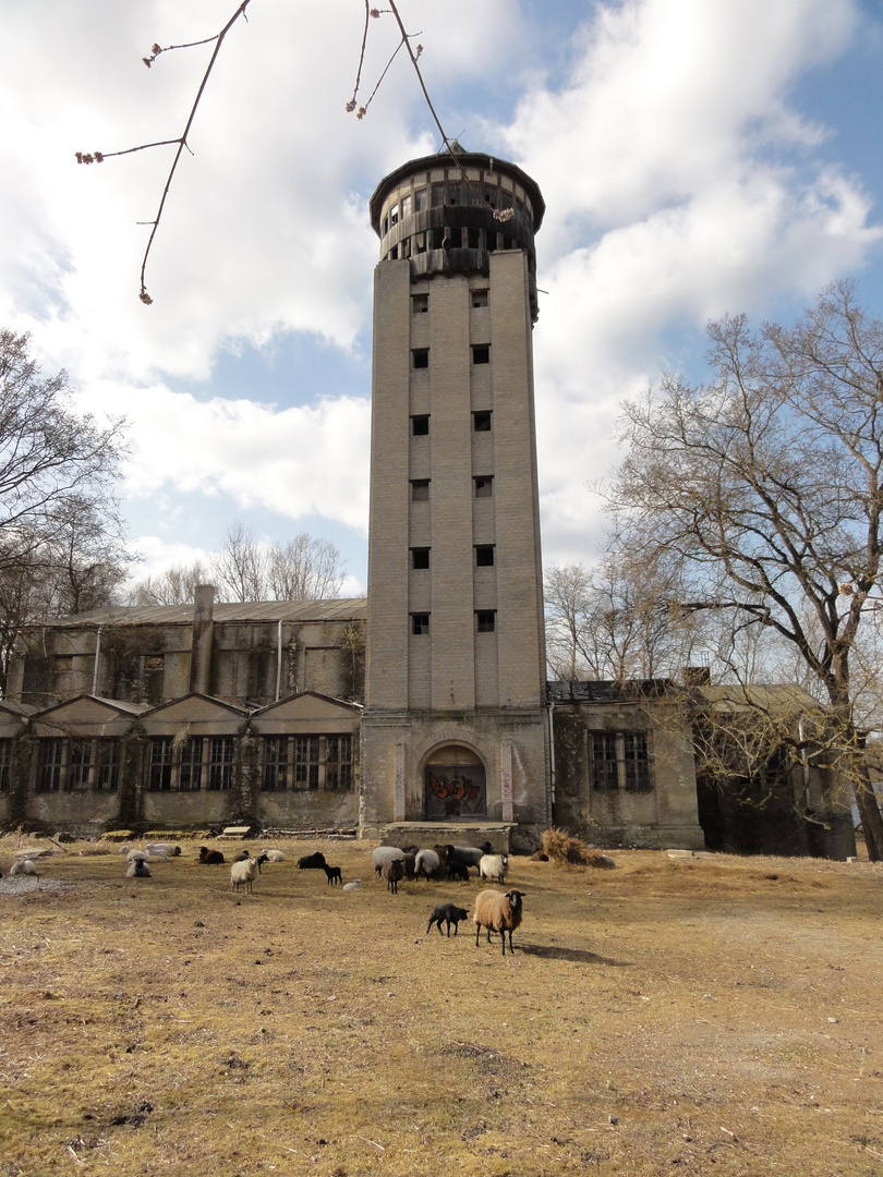 Industrieruine in Hennickendorf