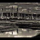 Industry and Nature Reserve