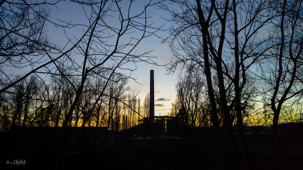 industry in the woods