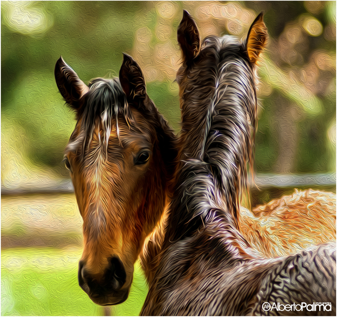 infanzia equina