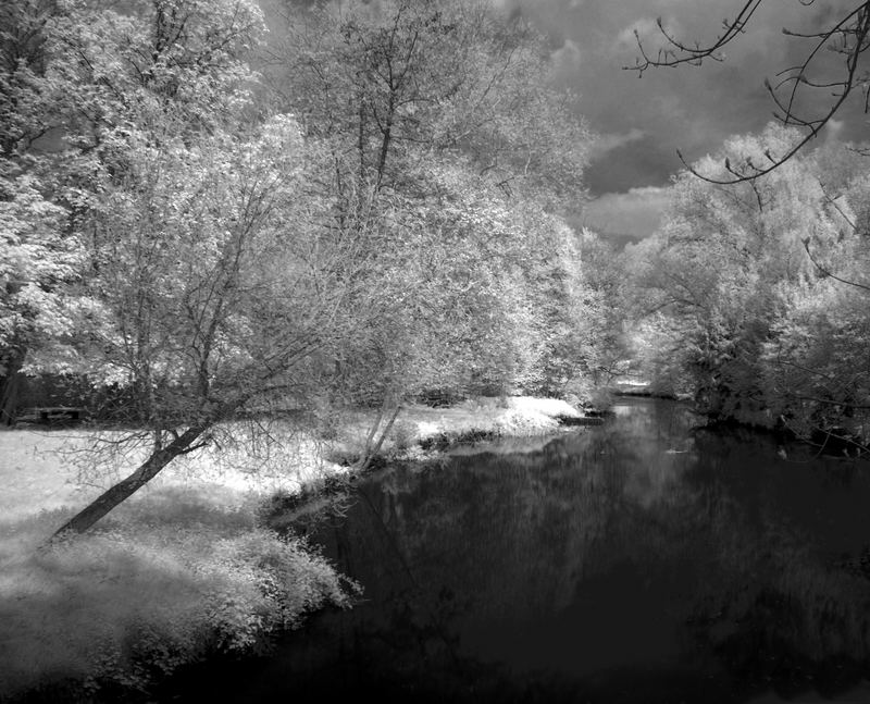 infared landscape