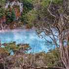 Inferno Crater Lake im Wai-O-Tapu Thermal Wonderland, Rotorua, New Zealand