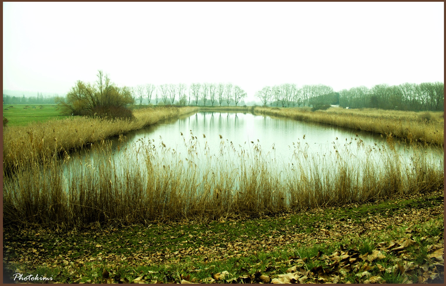 Infiltrier Becken des Wasserwerks