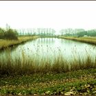 Infiltrier Becken des Wasserwerks