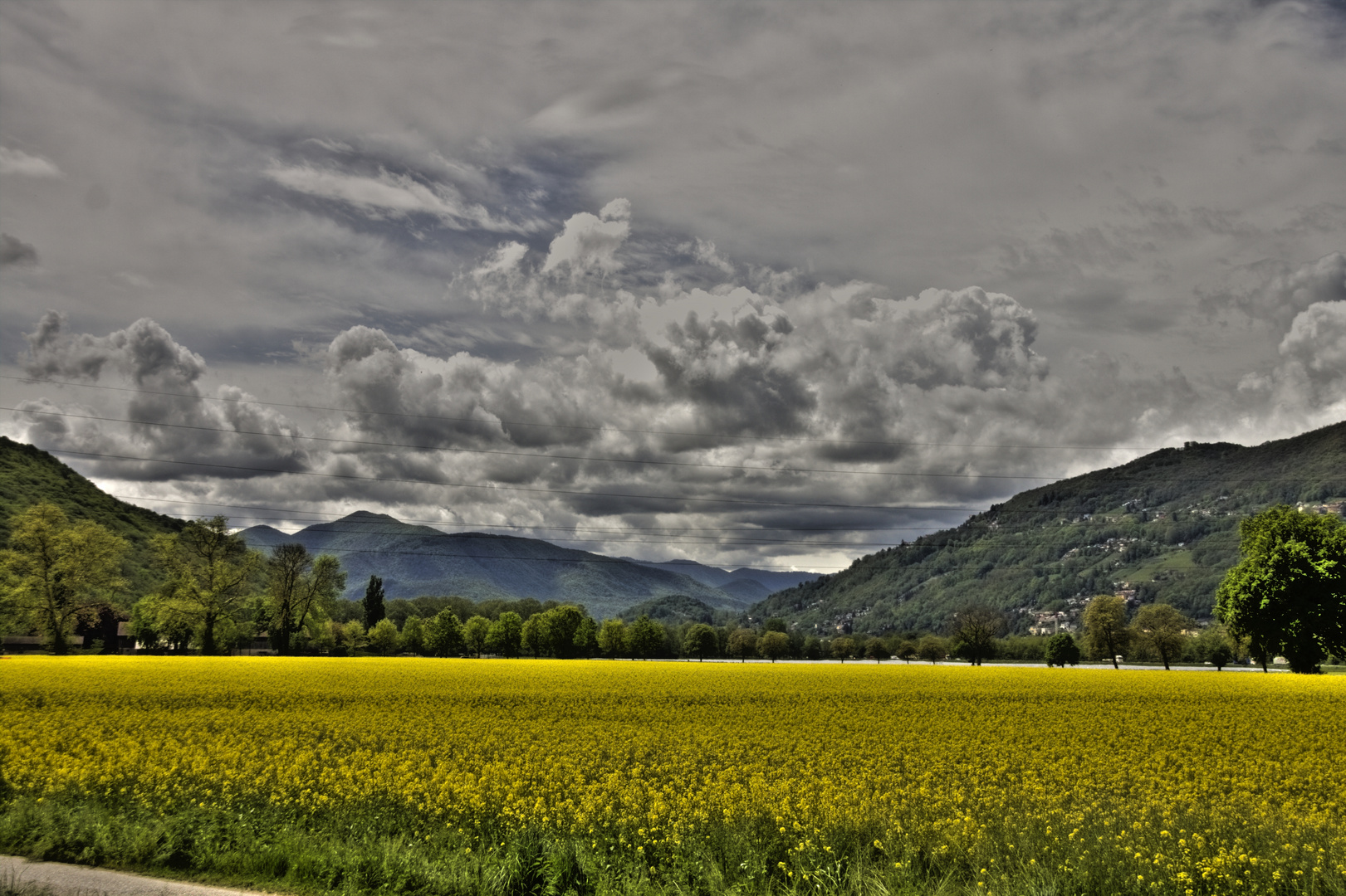 infinita primavera