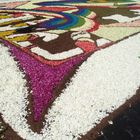 infiorata