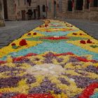 Infiorata