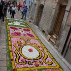 infiorata dei monti 10