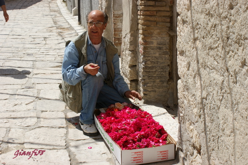 infiorata dei monti 2