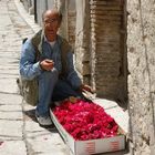 infiorata dei monti 2