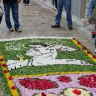 infiorata dei monti 9