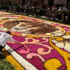 Infiorata di Genzano 2010 ultimi ritocchi , sorretto per non rovinare l'opera