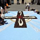 Infiorata in Liguria - 2a foto