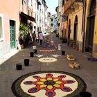 Infiorata in Liguria -3a foto