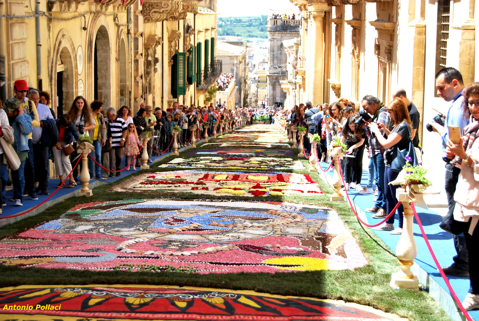 infiorata2