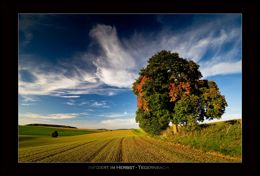 Infiziert im Herbst