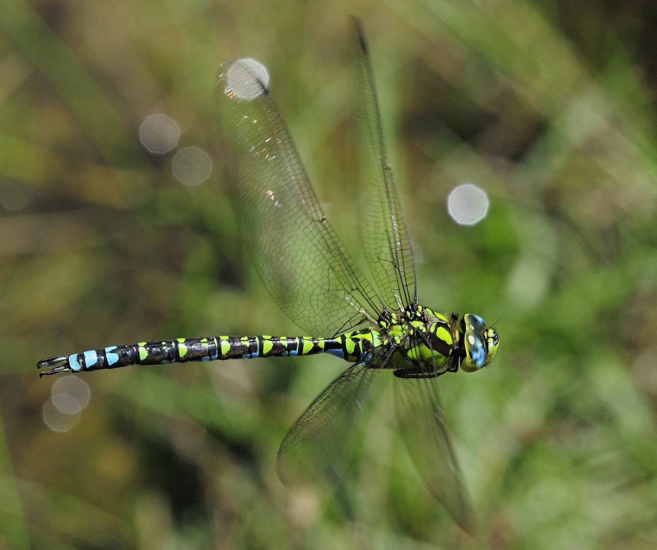 Inflight