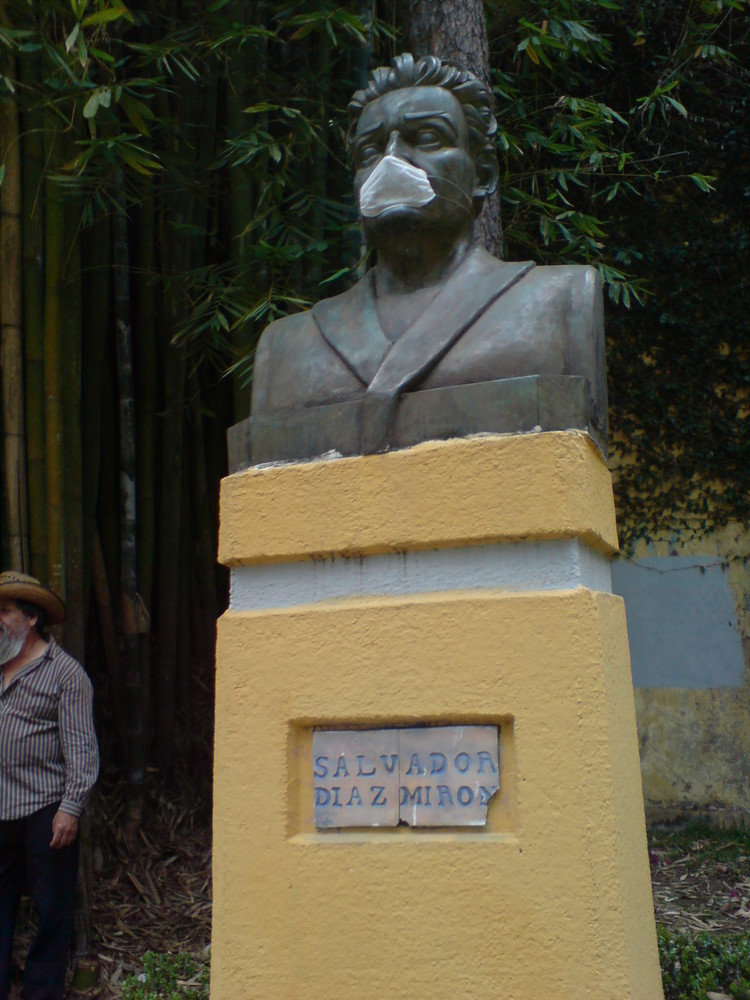 Influenza en Xalapa, Veracruz