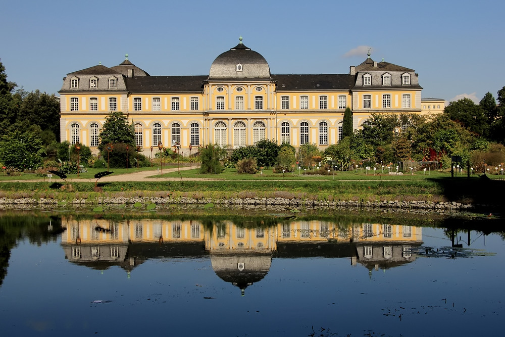 Info: Der Botanische Garten in Bonn öffnet wieder!