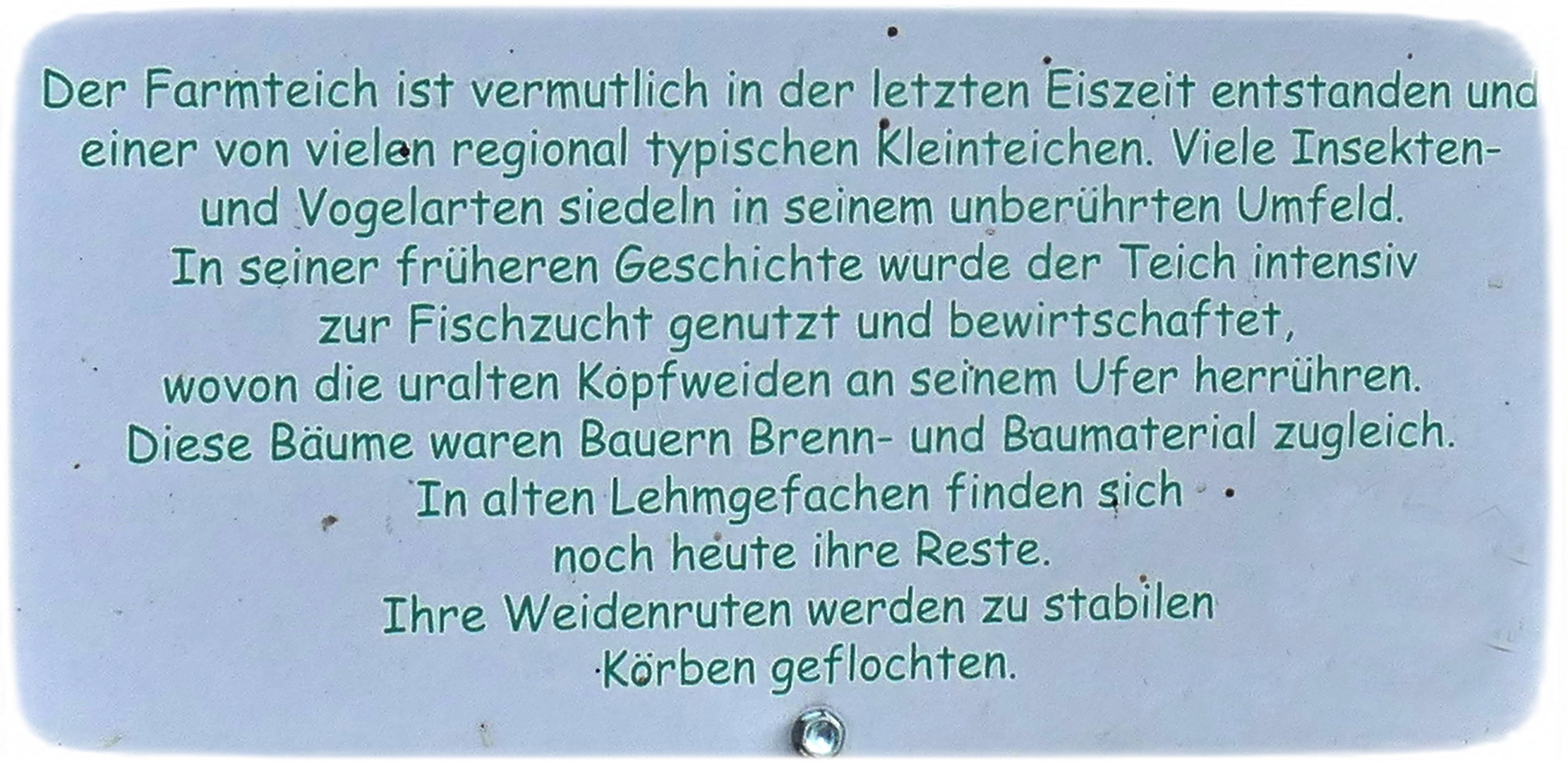  Info zu Teich und Weiden 