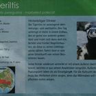 Informationstafel Zoo Magdeburg