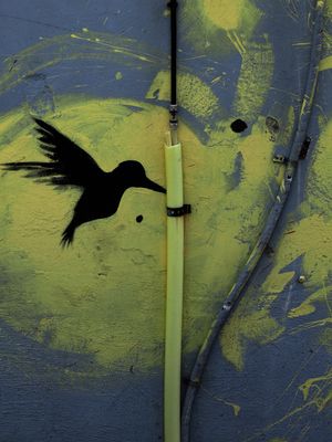 Informationsucker ………..