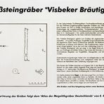 Infotafel Visbeker Bräutigam