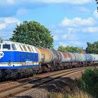 InfraLeuna 205 mit dem DGS 59795 in Plauen (18.06.07)