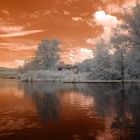 infrared-573067