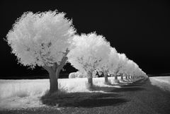 Infrared alley