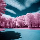 Infrared color