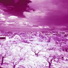 Infrared landscape,