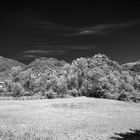 Infrared landscape