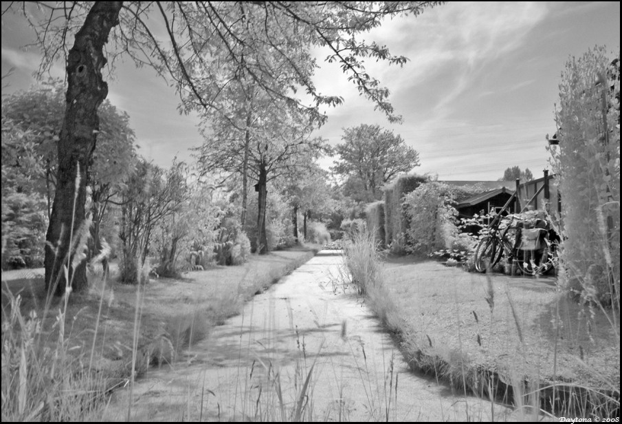 Infrared Landscape