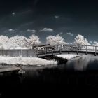 infrared panorama