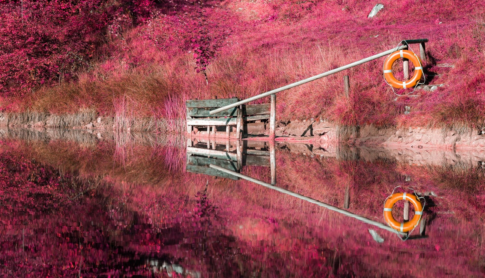 ~~ Infrared Reflection ~~