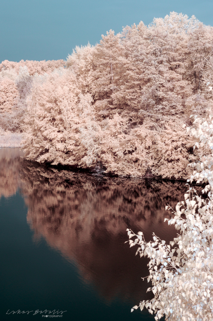 Infrared Reflections