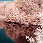 Infrared Reflections