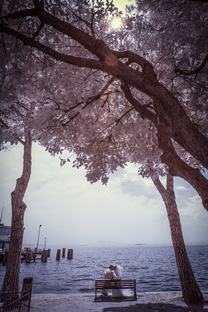 Infrared wedding photo