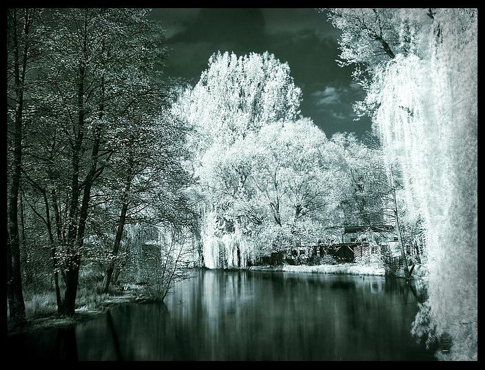 Infrared Wolsztyn