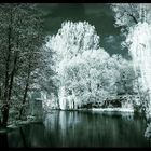 Infrared Wolsztyn