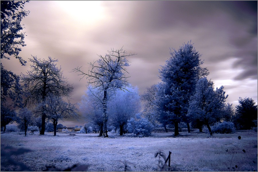 Infrared_2