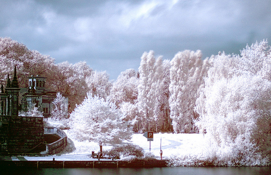 Infrarot im Babelsberger Park