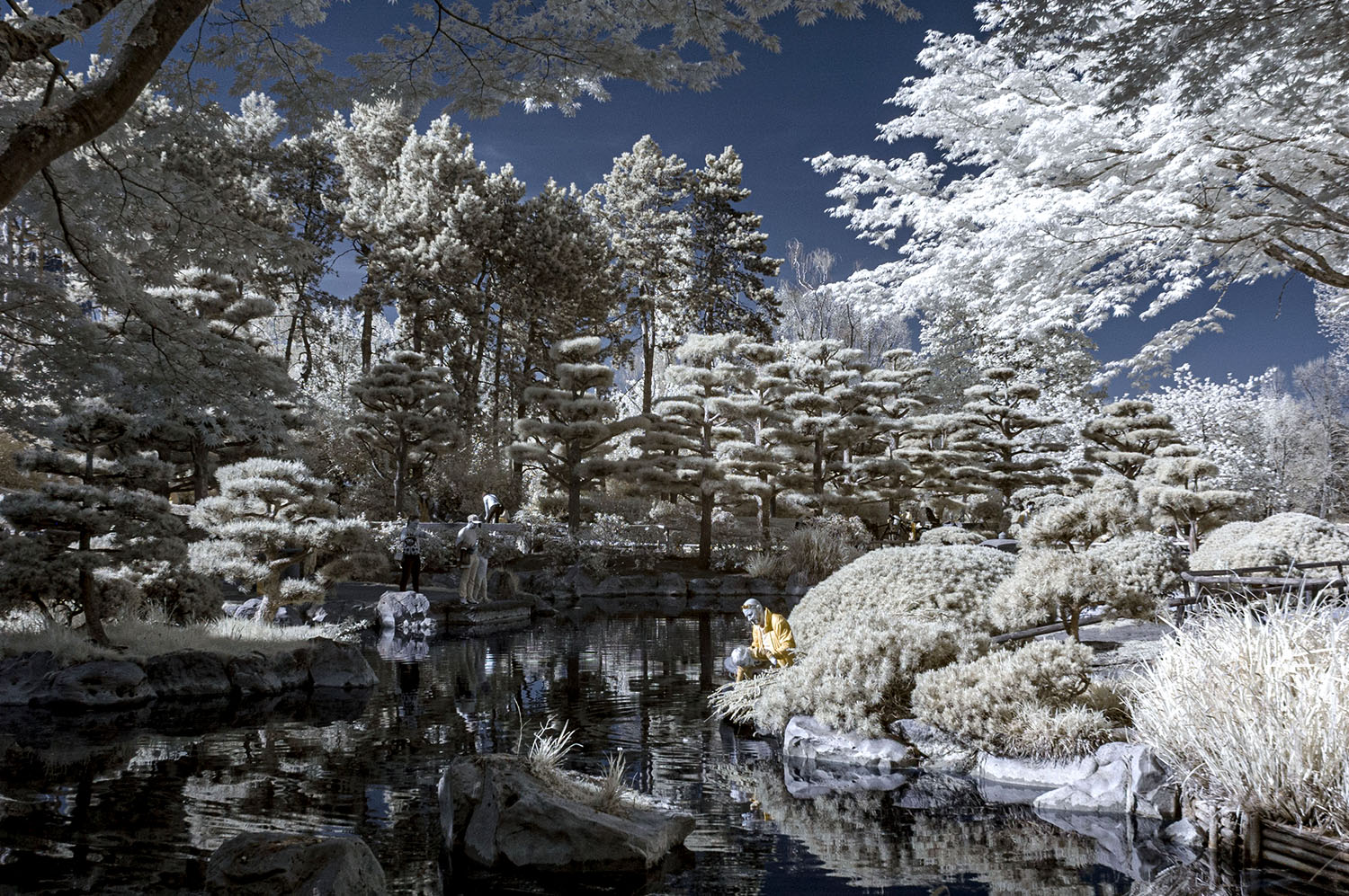 Infrarotaufnahme Japanischer Garten